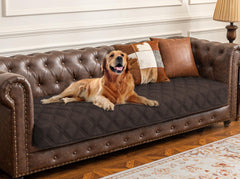 Housse lit chien imperméable Ameritex protège le canapé durablement.