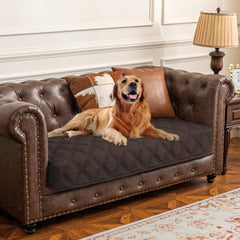 Ameritex housse-lit-chien imperméable protège les meubles des taches et liquides.