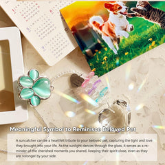 AMETHUARTZ Suncatcher Couronne Diamants Cristal : arc-en-ciel lumineux autour de la patte.