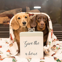 Amici Pet Marley – forme rectangulaire contemporaine optimise le rangement.