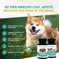 AminAvast – ajout alimentaire chien sans refrigeration nécessaire.