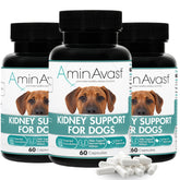 AminAvast – bouteille de soutien rénal pour chien, pratique au quotidien.