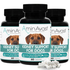 AminAvast – bouteille de soutien rénal pour chien, pratique au quotidien.