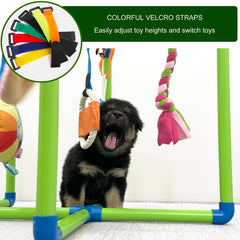 Puppy Play Gym Amlmpet, design sûr en PVC avec coins arrondis.