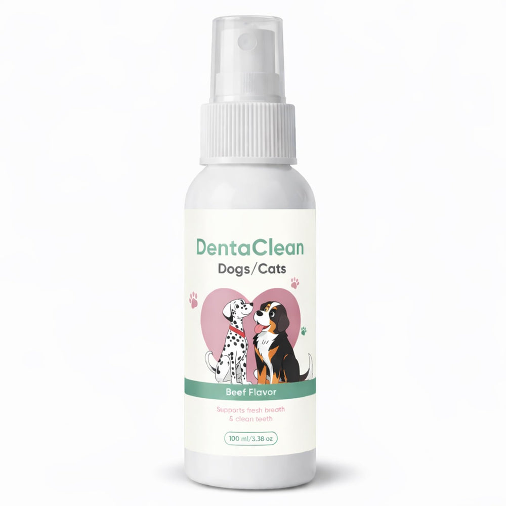 AMOQUCT Dentaclean spray dentaire pour animaux, haleine fraîche et dents propres