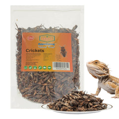 Amzey grillons secs sac refermable, pratique pour nourrir reptiles en déplacement.