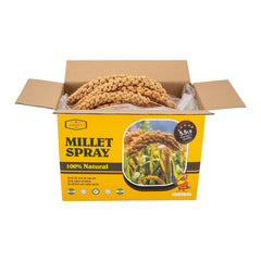 Amzey millet en spray, nourrissage pour petits oiseaux près du perchoir.