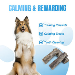 Avantages omega-3 Amzey pour chien, pelage et peau potentiellement sains