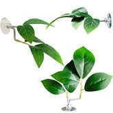 AncBace Pad Feuille Betta avec rotation à 360° pour orienter les feuilles.