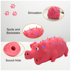 Jouet Andiker pour chien, texture piques et points, massage dentaire potentiel.