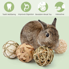 andwe Boules forage mobile – friandises cachées pour stimulation mentale.