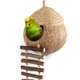 andwe nid coco perroquet espace repos: refuge sûr pour se reposer.