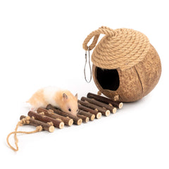 andwe plateforme activite perroquet: stimule jeu et mouvement quotidien.