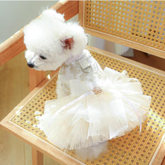 Robe Anelekor chien avec anneau pour laisse, pratique pour les balades.