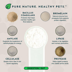 Animal Essentials cuillère-doseuse poudre, utilisation simple pour la digestion quotidienne.