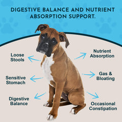 Animal Essentials doseur-poudre-enzyme-probiotiques permet une administration quotidienne précise.
