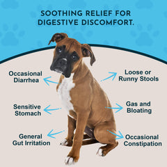 Animal Essentials Slippery Elm gouttes – pipette facilitant l’administration et le soutien digestif chez les animaux.