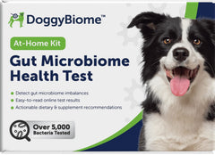 AnimalBiome kit prélevement selles chien à domicile – pratique et fiable pour l’analyse microbiome.