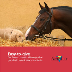 AniMed MSM poudre pour chevaux versement facile dans l'alimentation
