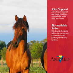 AniMed MSM poudre pour chevaux doseur inclus facilite le dosage quotidien
