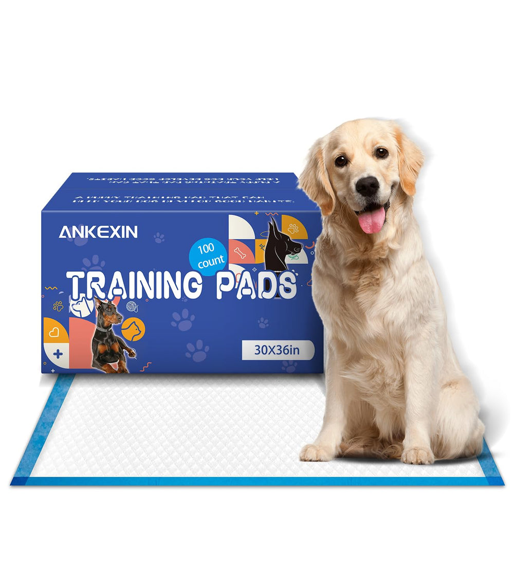 Tapis ANKEXIN XL 30x36 surface quiltée pour absorption rapide