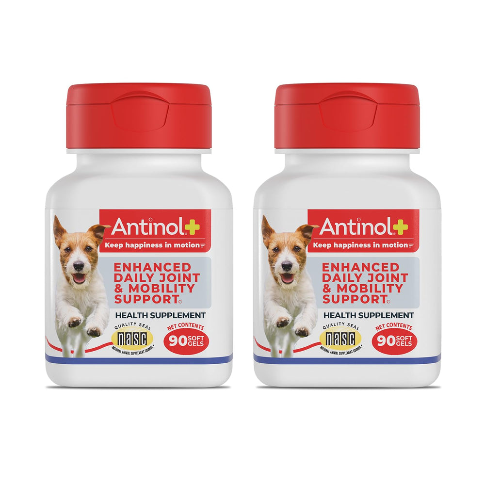 Antinol Plus: bouteille de capsules molles pour chien et mobilité potentielle.