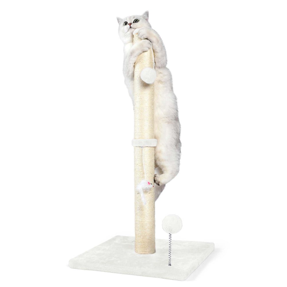 ANWA griffoir haut 32 pouces pour chats d’intérieur, favorise l’étirement et le griffage naturel.