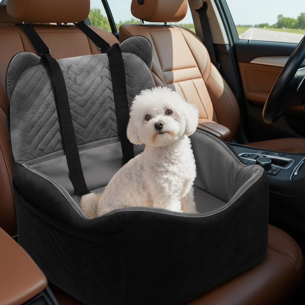 Anywish siège voiture chien petit moyen offre sécurité et confort en trajet.