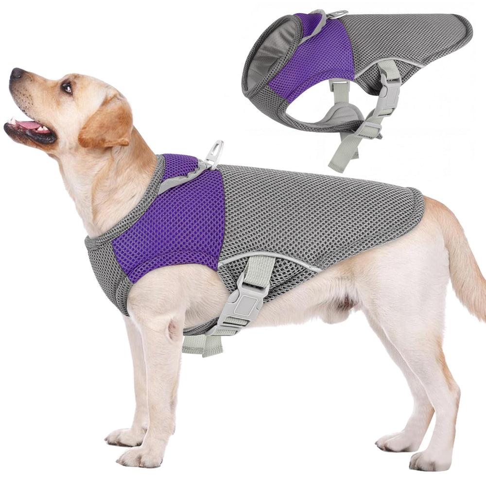 Gilet rafraîchissant AOFITEE pour chien violet XL, confort et respirabilité lors des sorties.