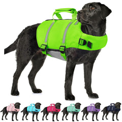 Gilet sauvetage AOFITEE pour chien, grande flottabilité pour baignade sécurisée