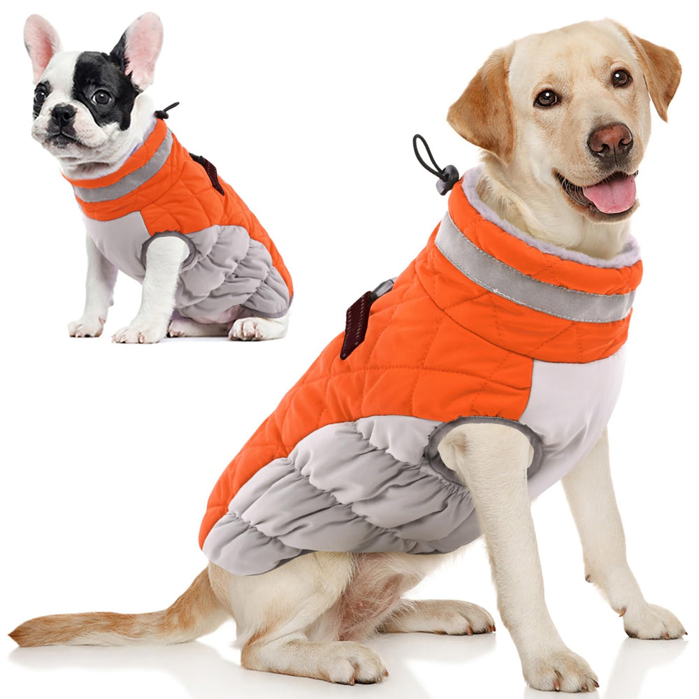 Manteau AOFITEE pour chien avec harnais intégré pour sécurité lors de promenades