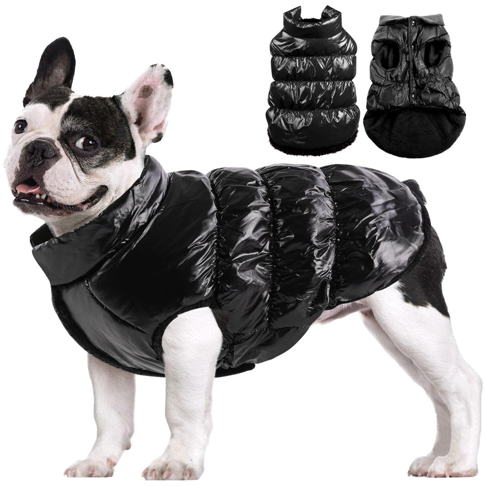 Manteau AOFITEE pour chien, hiver imperméable avec doublure polaire, protection contre intempéries.