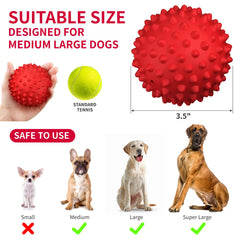 Apasiri Balle Chien Ballon Flottant: idéale pour jeux dehors et dans l’eau.