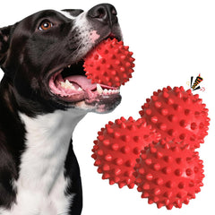 Apasiri Balle Chien Sifflet Intégré: stimulation du jeu et instinct de chasse.