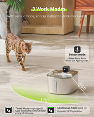 APETDOLA capacité 4L, idéal pour plusieurs animaux lors de déplacements