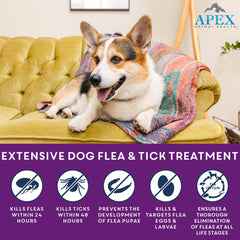 Apex Plus-application topique: pose simple sur le pelage pour protection pratique.