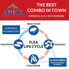 Apex Plus: étiquette-produit et notice, guide sûr d’utilisation pour chien XL.