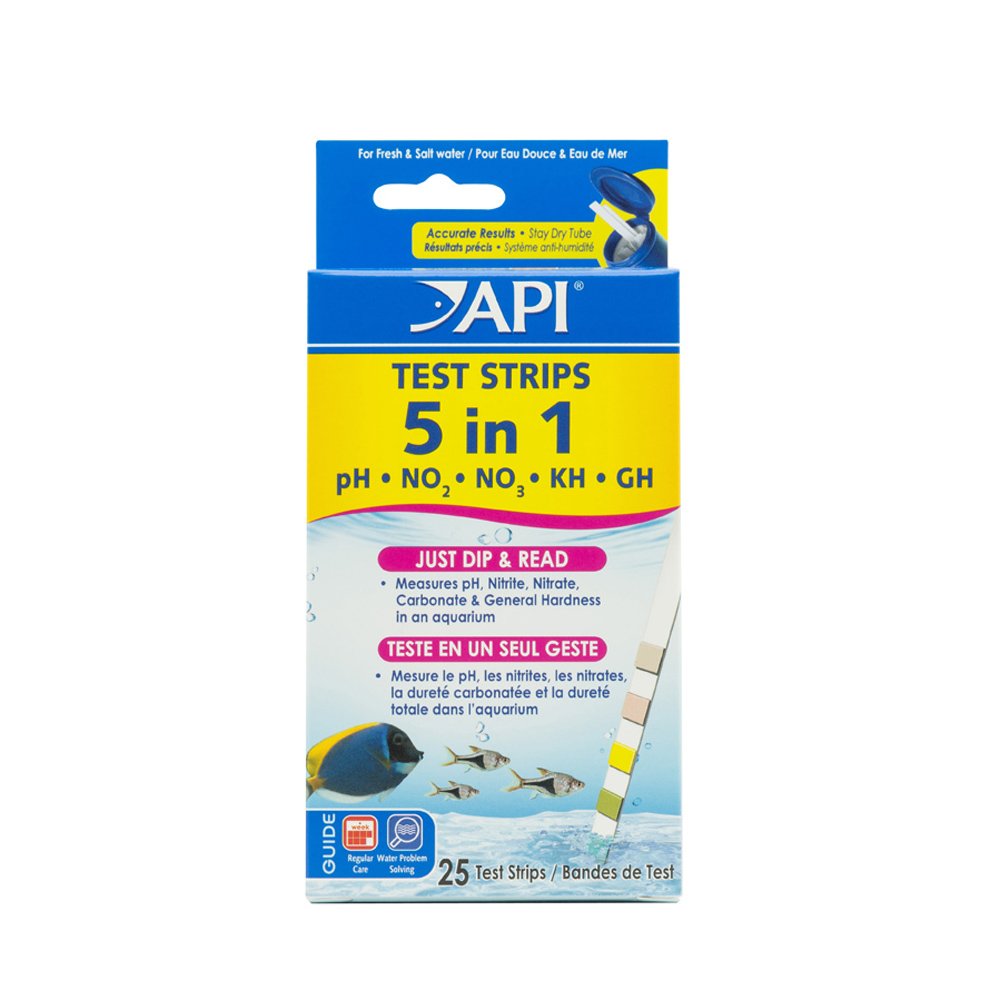 API 5-en-1 – boîte 25, bandelettes prêtes à tester l'eau rapidement.