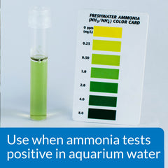API AMMO-LOCK – Dosage-eau-douce, action rapide pour réduire l'ammoniaque.