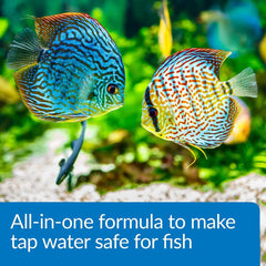 API AQUA ESSENTIAL dechlorination elimine chlore chloramines et metaux lourds