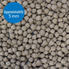 Ingrédients naturels API CICHLID LARGE PELLETS pour protéines variées et croissance saine.