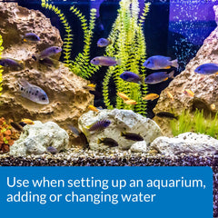API usage lors de la mise en eau et pendant les changements d’eau
