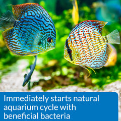 Ajout de poissons dans un nouvel aquarium grâce à API démarrage rapide.