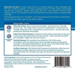 Poissons en aquarium recevant API GENERAL CURE pour parasites.