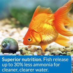 API GOLDFISH FLAKES – ail et vitamines pour soutenir l’immunité.