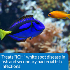 API LIQUID SUPER ICK CURE: couche muqueuse synthétique aidant les poissons.