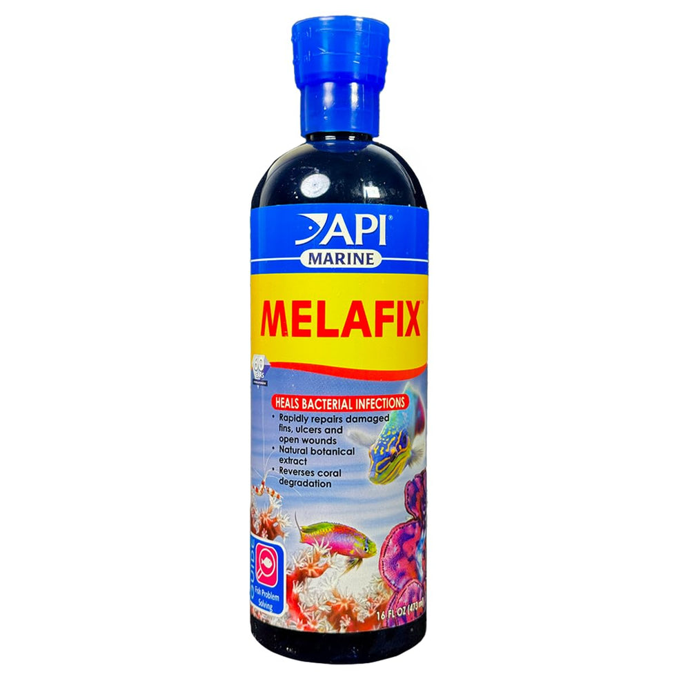 API MARINE MELAFIX 16oz, bouteille pour traiter infections bactériennes chez poissons marins.