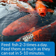 API POND Santé immunitaire: soutien possible du système immunitaire des poissons.