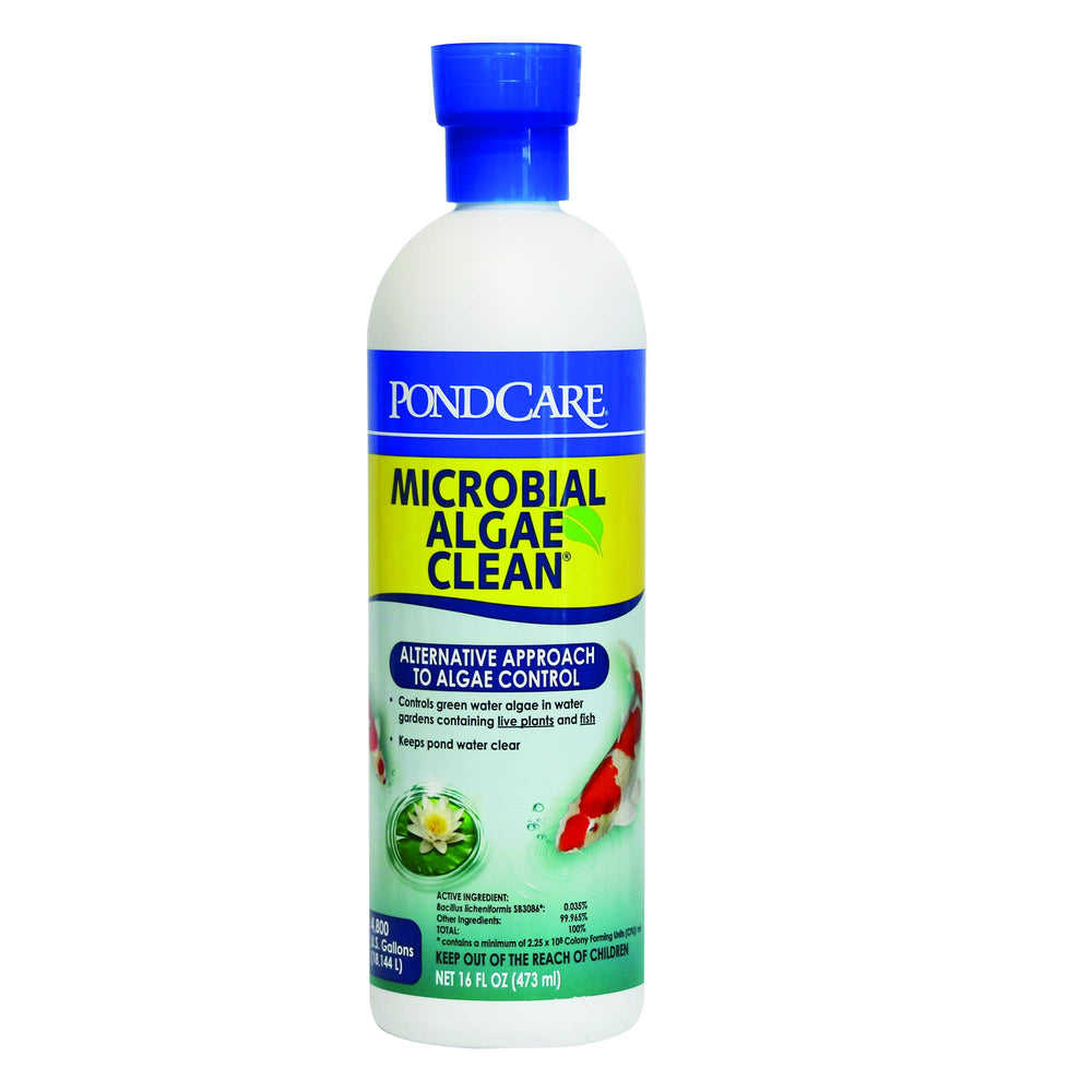 API PONDCARE nettoyant algues bio, bouteille de 16 onces, aide à clarifier l’eau.