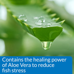API Stress Coat — utilisation lors d'un changement d'eau pour une transition en douceur.